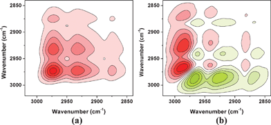 2D synchronous (a) and asynchronous (b) spectra of PNIPAM/D2O solution with 0.4 mol L−1 [Bmim][BF4] in ν(C–H) region during heating generated from all the spectra at 38 to 45 °C. Warm colors (red) refer to positive intensities, while cold color (green) to negative ones.