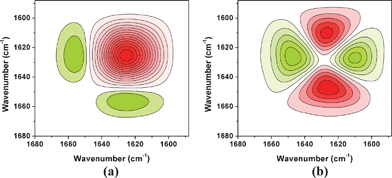 2D synchronous (a) and asynchronous (b) spectra of PNIPAM/D2O solution with 0.4 mol L−1 [Bmim][BF4] in ν(CO) region during heating generated from all the spectra at 25 to 45 °C. Warm colors (red) refer to positive intensities, while cold color (green) to negative ones.