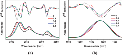 FTIR and corresponding second derivative spectra of the ν(C–H) region (a), and ν(CO) region (b) of 5% (w/v) PNIPAM in D2O with different [Bmim][BF4] concentrations (0, 0.4, 1.0, 1.5, 2.0 mol L−1) at 25 °C.