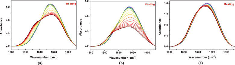 During heating from 25 to 45 °C, temperature-dependent FTIR spectra in the ν(CO) region of 5% (w/v) PNIPAM/D2O solutions with 0 (a), 0.4 (b), and 1.5 (c) mol L−1 IL, respectively.