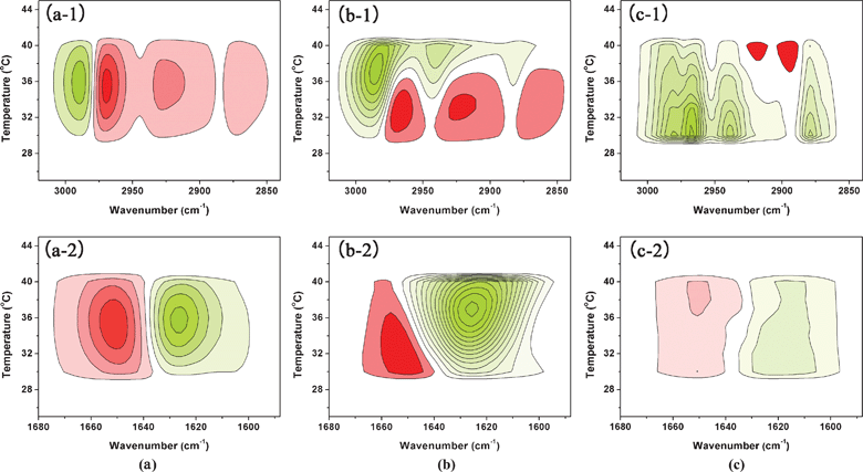 PCMW synchronous of ν(C–H) and ν(CO) region generated from the spectra of 5% (w/v) PNIPAM/D2O solutions with 0 (a), 0.4 (b), and 1.5 (c) mol L−1 IL between 25 and 45 °C. Here, warm colors (red) are defined as positive intensities, while cool colors (green) indicate negative ones.