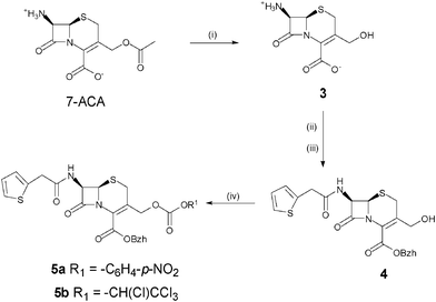 Synthesis of the cephalosporin synthon. (i) TBAOH, Et3N, MeOH, H2O; (ii) 2-thienylacetyl chloride, NaOH, H2O, acetone; (iii) diphenyldiazomethane, AcOEt; (iv) p-nitrophenylchloroformate, pyridine, DMAP, DCM for 5a; tetrachloroethylchloroformate, pyridine, DMAP, DCM for 5b.