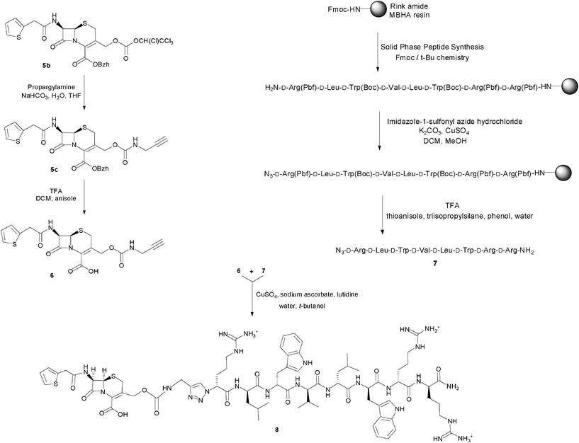 Synthesis of the prodrug candidate cephalothin-d-Bac8c(Leu2,5) 8.