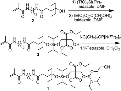 Synthesis of acrylation and phosphinylation phosphoramidite 1.
