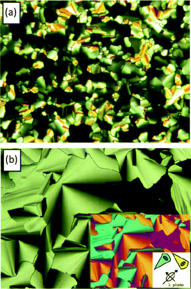 Optical textures of the Colhex phases as seen between crossed polarizers (a) for m/8 at T = 79 °C and (b) for m/14 at T = 75 °C, inset: texture of m/14 with λ-plate in the same area and indicatrix orientation in the compensator.