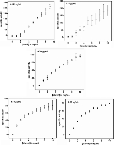 Specific activity of α-amylase (μmol mg−1 min−1) in the absence of cit-Au NPs. Legend represents the respective concentration of enzyme at which the experiments were carried out. The results are the average of three sets.