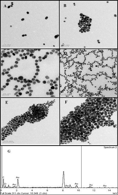 TEM images showing arrangement of Au NPs in the presence of (A and B) 0.175 μg mL−1, (C and D) 0.35 μg mL−1 and (E and F) 2.80 μg mL−1 of α-amylase in the reaction mixture post starch digestion and (G) EDX of one of the samples.