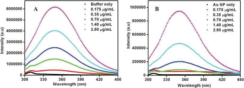 Fluorescence spectra of α-amylase in (A) absence and (B) presence of cit-Au NPs. The legends show the various concentrations of the enzyme.