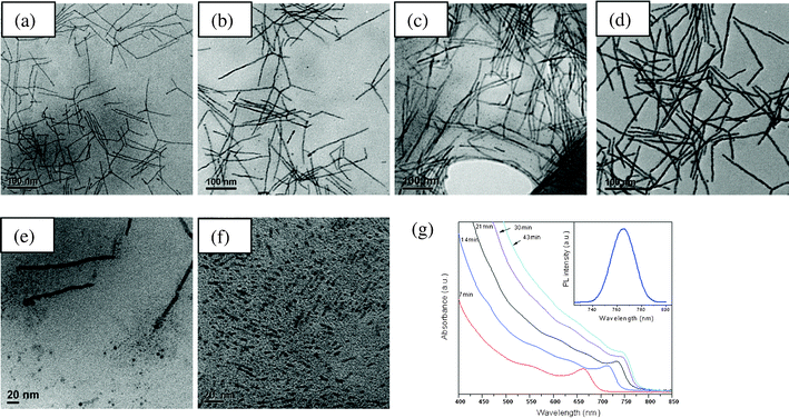 Time-dependent TEM images of CdTe nanocrystals synthesized with a single continuous injection at: (a) 7 min, (b) 14 min, (c) 21 min and (d) 43 min. Evidence of oriented attachment from (e) CdTe and (f) CdS nanocrystals. (g) Time-dependent UV-Vis absorption spectra of CdTe nanocrystals. (inset: PL spectrum after 21 min).