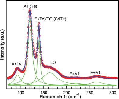 Raman spectrum and multi-Lorentzian fitting result for as-prepared CdTe nanowires under 532 nm excitation. The fitted peaks are assigned to phonons from Te and CdTe as denoted.