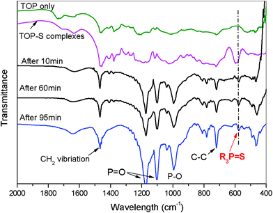 FT-IR spectra of pure TOP, TOP = S complexes, CdS nanocrystals after final injection 10, 60 and 95 min.