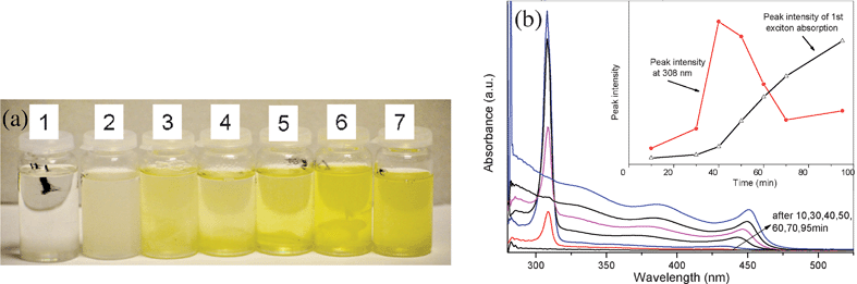 (a) Solution color change vs. time (after the 4th injection of a multiple injection process 10, 30, 40, 50, 60, 70 and 95 min) during the synthesis of CdS nanocrystals. (b) UV-Visible absorption spectra of CdS nanocrystals. An absorption intensity change at 308 nm and the 1st exciton absorption around 440 nm can be seen. Inset shows the change in intensity of the peaks at 308 and 440 nm as a function of time of injection.