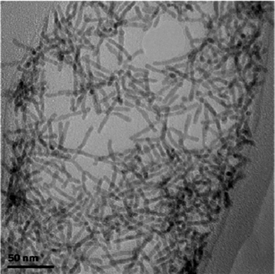 TEM images of CdTe nanocrystals synthesized with a double precursor concentration.