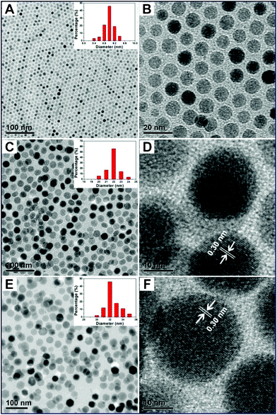 (A) Low-resolution, (B) high-resolution TEM image of Fe3O4 NPs; (C) low-resolution, (D) high-resolution TEM images of Fe3O4@NaGdF4:Yb/Er NPs; (E) low-resolution, (F) high-resolution TEM images of Fe3O4@NaGdF4:Yb/Er@NaGdF4:Yb/Er core–shell NPs. Insets are their corresponding particle size distribution histograms.