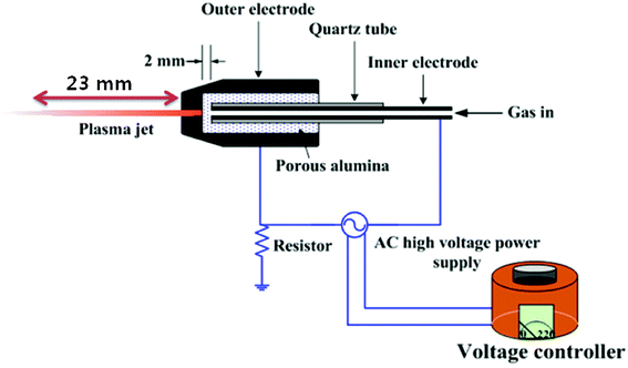 A schematic depiction of the cold atmospheric pressure plasma jet (APPJ) device