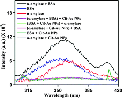 Fluorescence spectra of α-amylase and BSA in the presence and absence of Cit-Au NPs.
