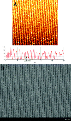 AFM and SEM images of 1D arrays of CuO islands created by the collapse phenomenon of heat treatment.