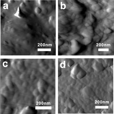 The contact-mode AFM images of the screen printed conductive carbon paste films sintered at 180 °C for 90 min with the following copper contents: 0 (a), 0.1 (b), 0.2 (c) and 0.4 g (d).