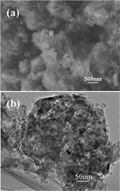 (a) A SEM image of np-Si/SP and (b) a TEM image of np-Si/SP.