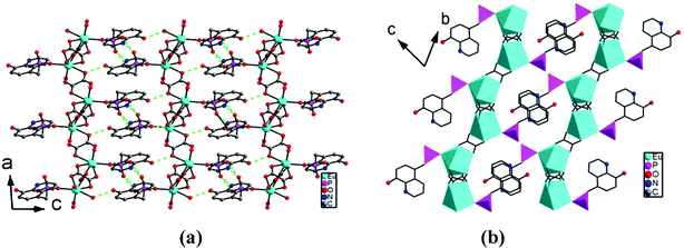The packing structures with H–bond interactions (a) and aromatic stacking interactions (b) in 1.