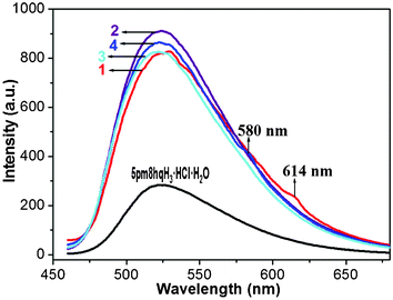 Solid-state emission spectra for compounds 1–4 and 5pm8hqH3·HCl·H2O at room temperature.