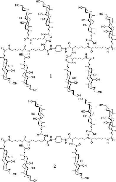 Structures of poly(choloyl) conjugates 1 and 2 bearing a rigid p-phenylenediamine linker.