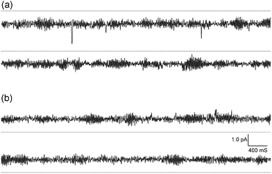 Typical current–time records by conjugate 1 at (a) −120.4 mV and (b) + 110.4 mV, symmetric 0.5 M KCl, pH 7.2. The current increases (a) downward and (b) upward from the dotted line as a closed level of the channel.