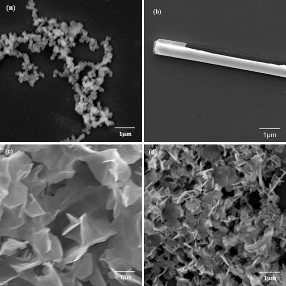 SEM images of biosilica-like produced by PLL2 under different external flow fields (a) under static conditions, (b) in the bubbling state, (c) at a low flow rate, and (d) at a high flow rate.