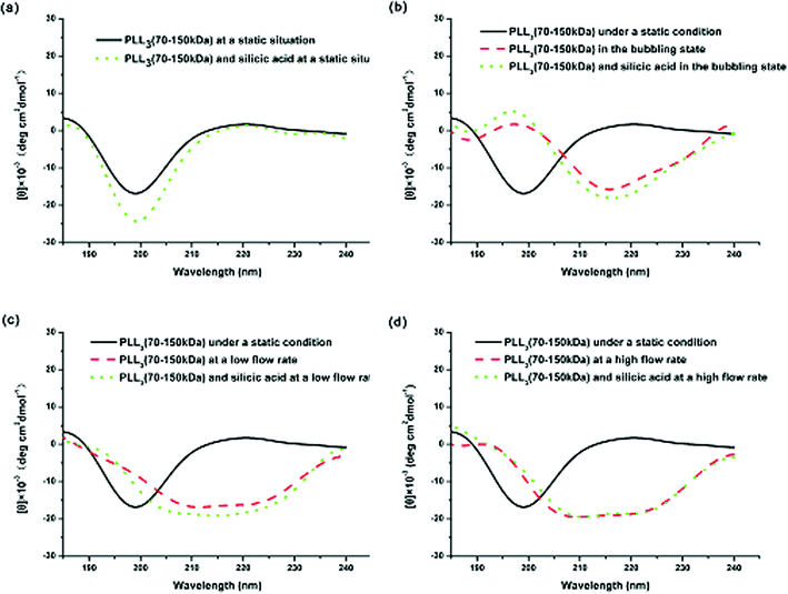 CD spectra of PLL3 under different external fields: (a) under static conditions, (b) in the bubbling state, (c) at a low flow rate, and (d) at a high flow rate.