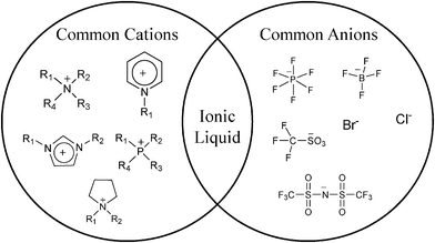 Common cations and anions of ionic liquids and room temperature ionic liquids.