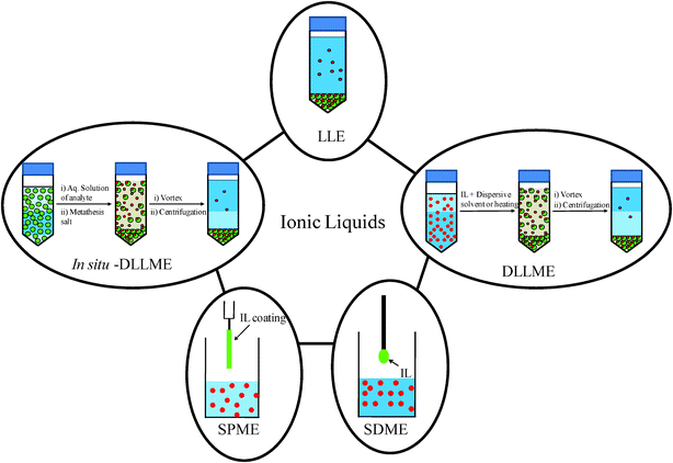 Different extraction and microextraction techniques using ionic liquids as the solid or liquid extraction phase.