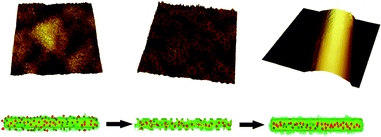 The incorporation process of BSA in electrospinning (red dots represent BSA and the green part is polymer).