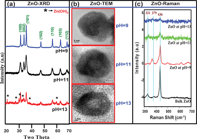 (a) XRD patterns of different sized ZnO NCs (b) TEM micrographs of different sized ZnO NCs and (c) room temperature Raman spectra of different sized ZnO NCs synthesized at different pHs along with bulk ZnO.