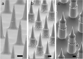 Scanning electron microscopy of MNP arrays showing (a) tapered tip profile; (b) tapered tip plus short Bosch etch; (c) tapered tip plus longer Bosch etch. Note scale bar = 10 μm.