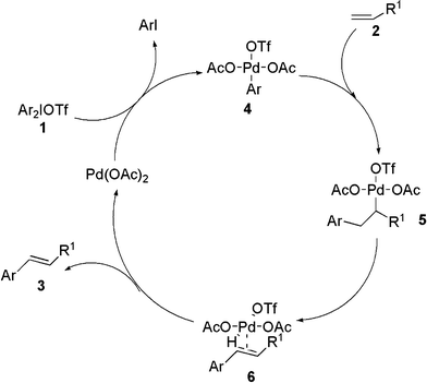 Possible mechanism of the arylation of acrylate reaction.