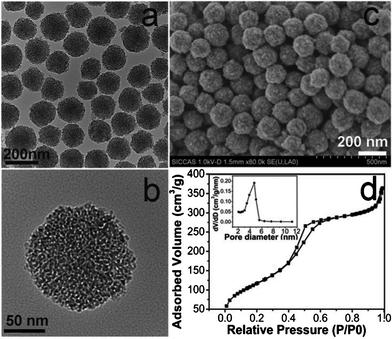 TEM (a, b), SEM (c) images and N2 adsorption-desorption isotherms (d) of the typical MSNs (sample B2). Inset in (d) is the corresponding pore size distribution.