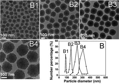 TEM images (B1, B2, B3, B4) and corresponding particle size distributions (B) of MSNs fabricated by adding 200 (B1), 400 (B2), 650 (B3), 900 (B4) μl of the TEOS/C18TMS mixture to 48.2 ml of the starting solution, respectively.