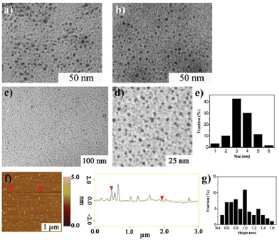Morphology of GQDs (Batch 1–3). a) TEM image of Batch 1. b) TEM image of Batch 2. c) TEM image of Batch 3 and d) is the enlarge image. e) The size distribution of Batch 3. f–g) AFM image of Batch 3 and its height distribution (the three batches have similar TEM and AFM characterization so only the AFM of Batch 3 was shown).