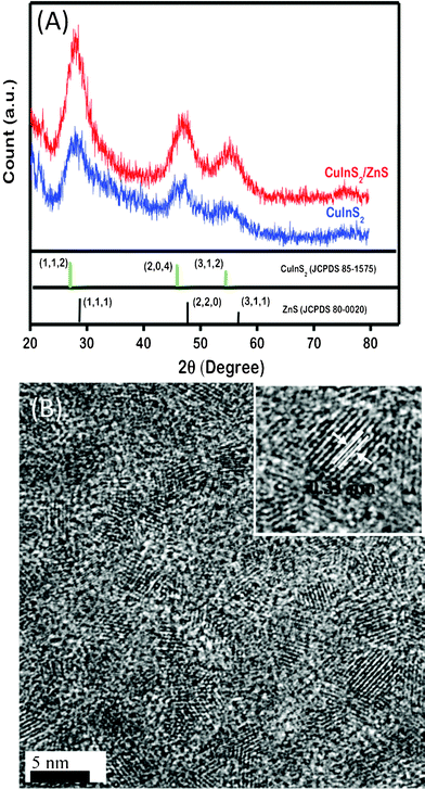 (A) XRD pattern of CuInS2 and CuInS2/ZnS QDs and (B) representative TEM images of CuInS2/ZnS QDs. The inset shows a high-magnification TEM image of a CuInS2/ZnS QD.