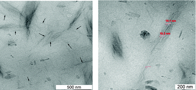 TEM for fire retarded mEPDM/LDH nanocomposite.