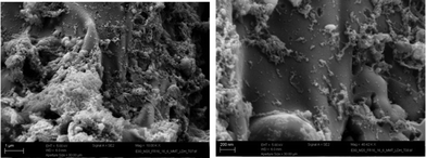 SEM for the residue of the fire retarded EPDM/LDH nanocomposite after combustion.