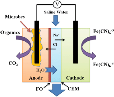 Schematic of an osmotic microbial desalination cell consisting of forward osmosis membrane (FO) and cation exchange membrane (CEM).