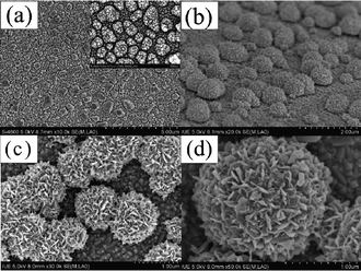 SEM images of the Pt counter electrodes: (a) top-view SEM image of a conventional Pt nanoparticle electrode; (b) tilted-section, and (c) & (d) top-view SEM images of the flower-like Pt electrode.