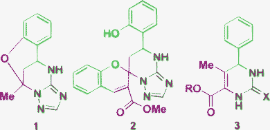 Unexpected heterocycles from Biginell-like condensations.