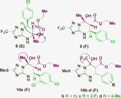 Difficulties in the structural elucidation in the case of F or E-isomer formation. NOEs are indicated by arrows.