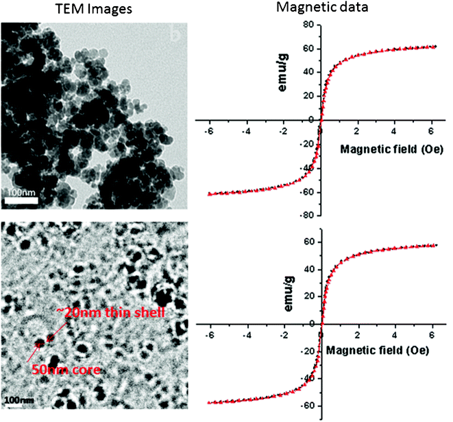 TEM (left panel) of uncoated SPIONs (SS068) at top, LBCSPIONs (SS069) at the bottom; magnetic data (right panel) of bare SPIONs (SS068) at the top and LBCSPIONs (SS069) at the bottom