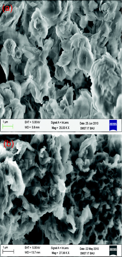 SEM image of (a) clay, (b) PCz–clay nanocomposite.