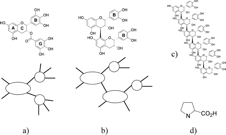The chemical structures and schematic representations of the condensed tannins used in this study. a) Epigallocatechin-gallate (EGCG); the “B” and “G” rings are pyrogallols (three OH groups). b) Procyanidin dimer B2, the “B” rings are catechols (two OH groups). c) Procyanidin pentamer. Panel d) shows the amino acid, proline . The “active” tannin sites that bind to proline are the B ring and the G ring.