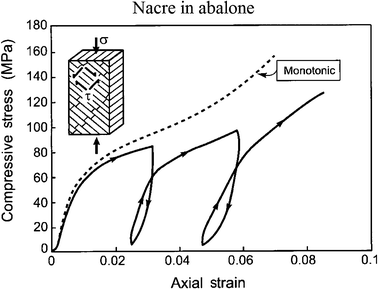 Compression stress–strain curves for nacre in abalone, representing interlamellar shear, measured both in monotonic loading and with loading–unloading loops. The insert indicates that the lamellae boundaries are orientated at 45° to the loading axis.5