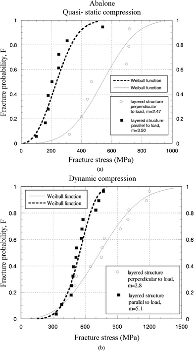 Weibull plots of abalone nacre in abalone under (a) quasi-static, and (b) dynamic compressive loading.46